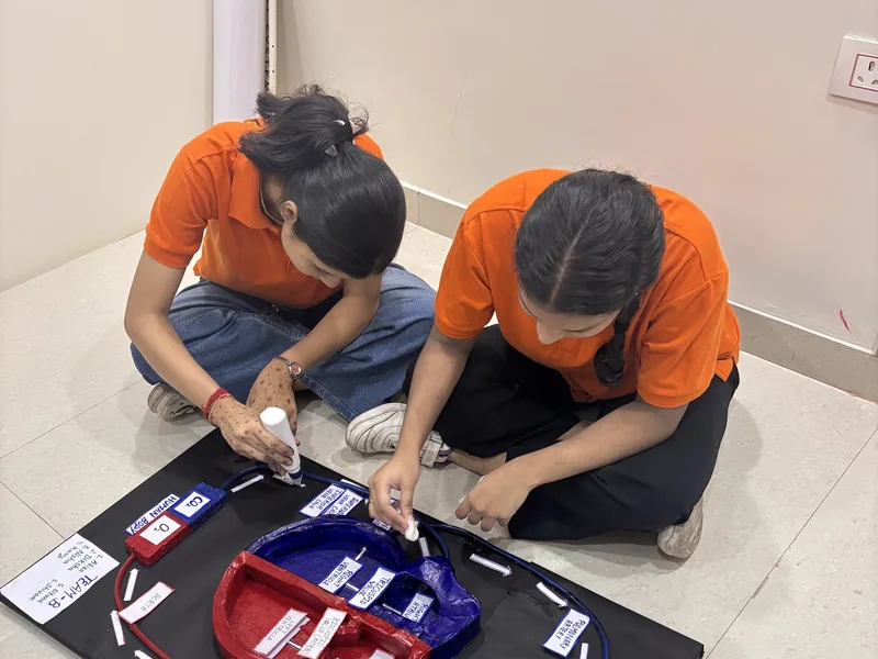 Navvidya students building a human heart circulation model