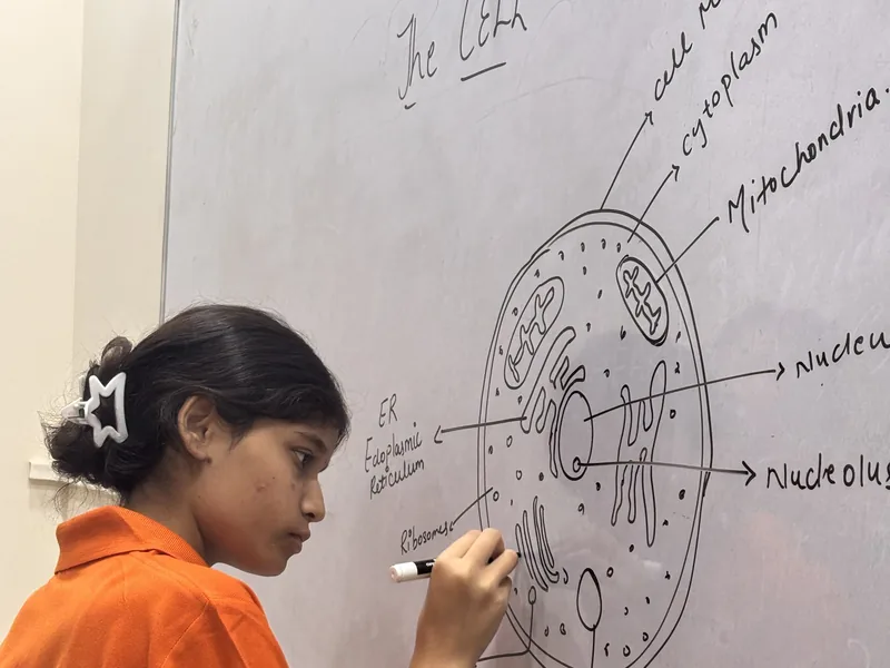 Navvidya student explaining a cell diagram on whiteboard
